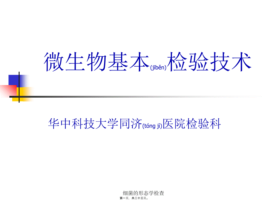 细菌的形态学检查课件_第1页