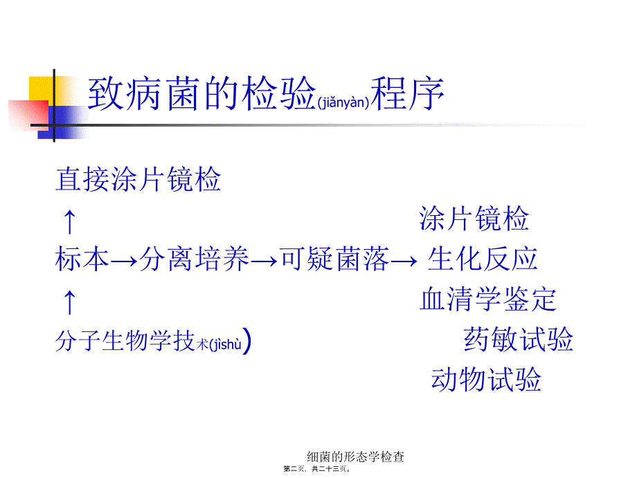 细菌的形态学检查课件_第2页