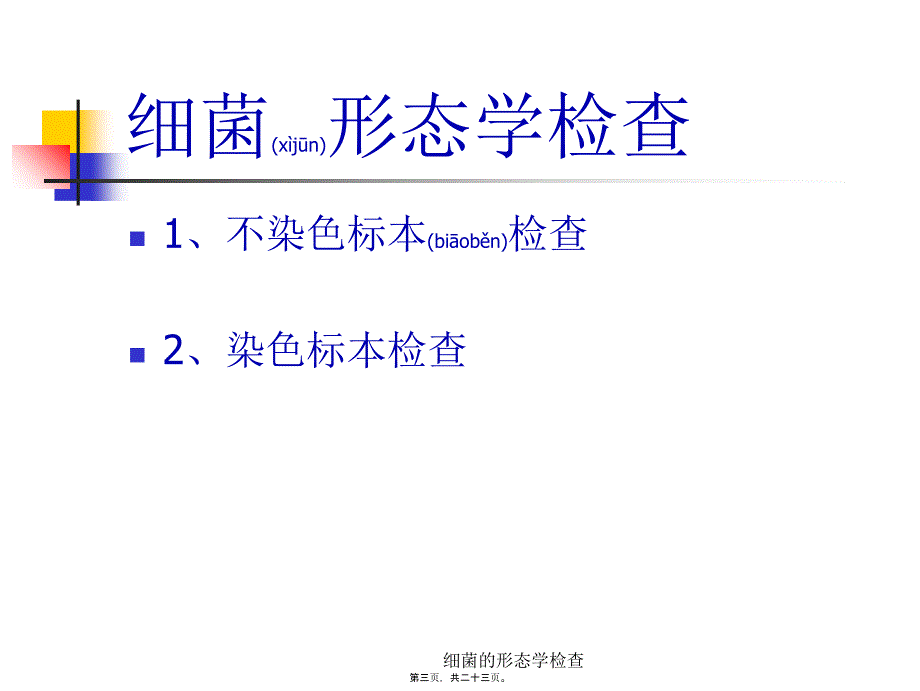 细菌的形态学检查课件_第3页