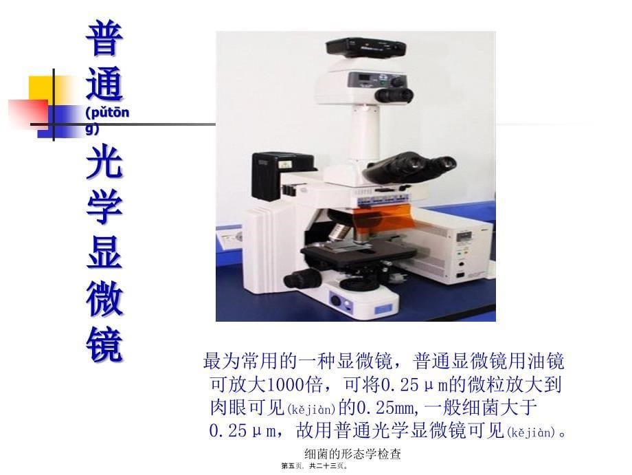 细菌的形态学检查课件_第5页