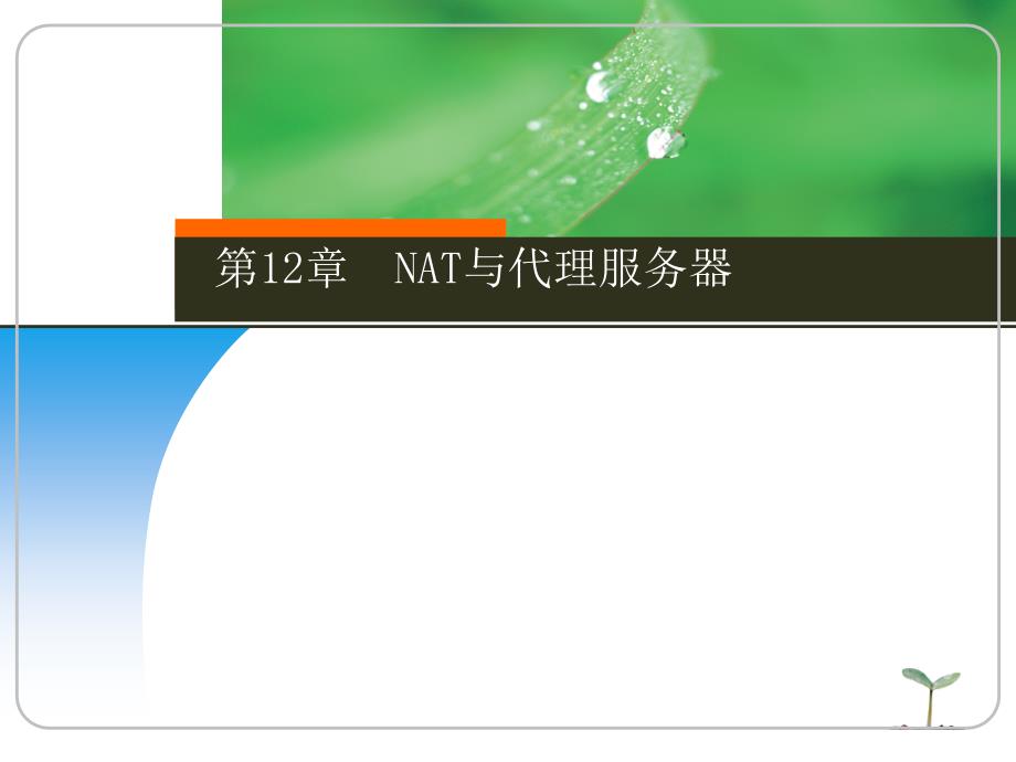 NAT与代理服务器.ppt_第1页