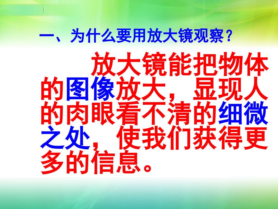 六年级科学放大镜PPT_第2页