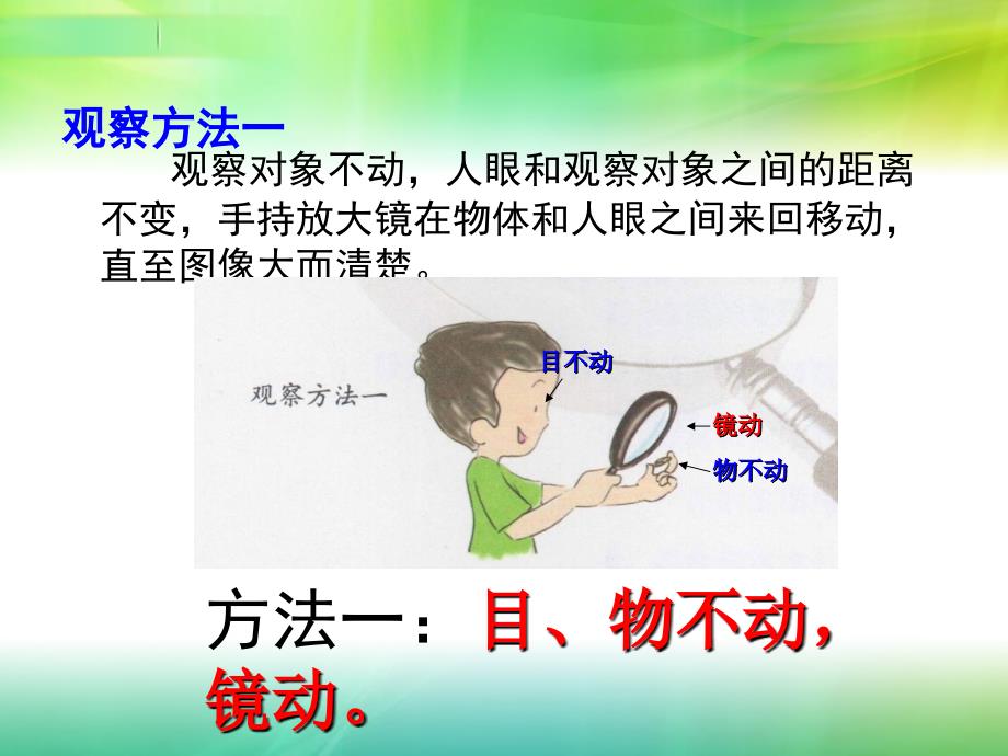 六年级科学放大镜PPT_第4页