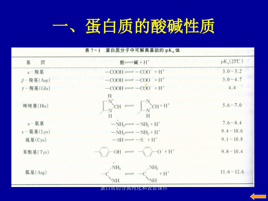 蛋白质的分离纯化和表征课件_第2页