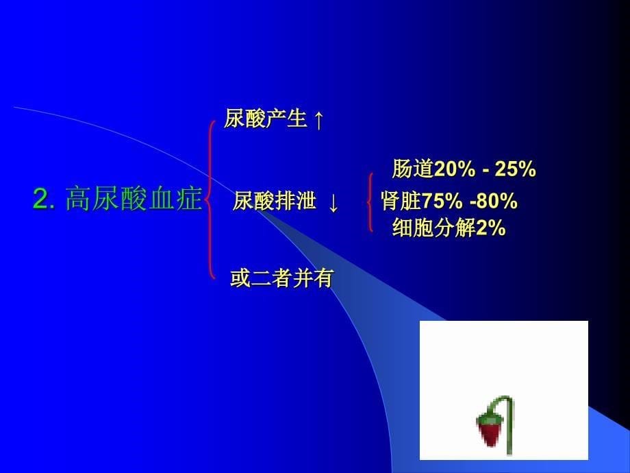 《高尿酸血症与痛风》PPT课件_第5页