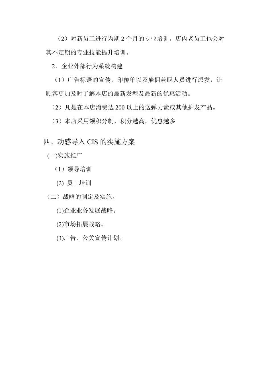 动感导入CIS的系统策划.doc_第5页