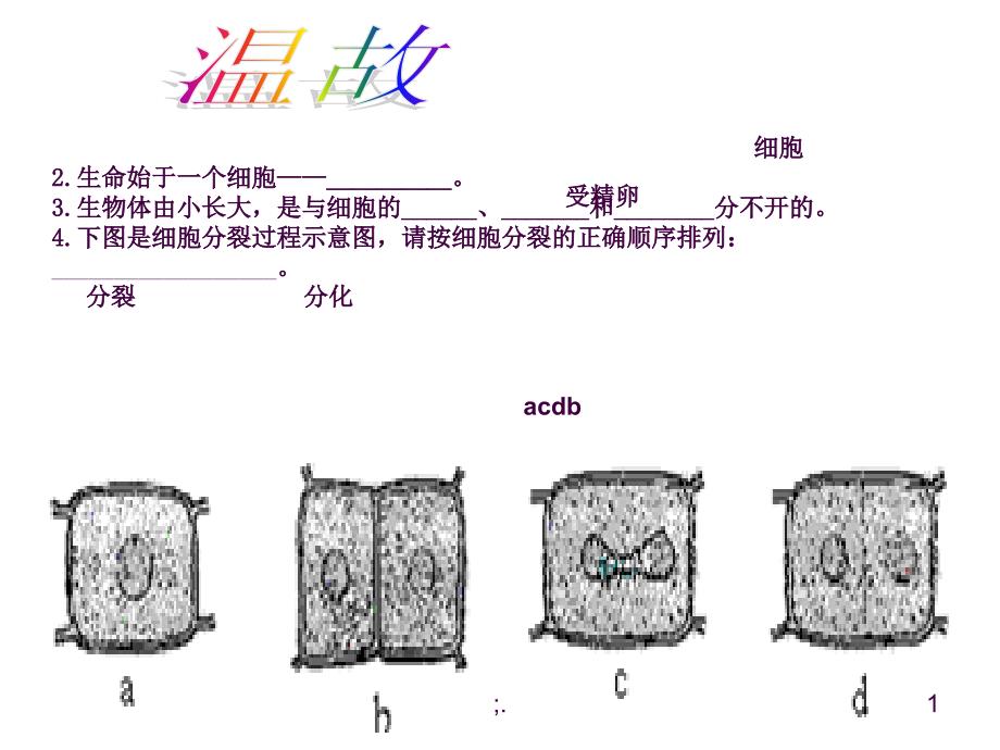 动物体的结构层次公开课ppt课件_第1页