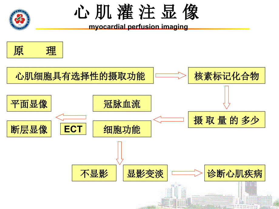 核医学心血管系统_第3页