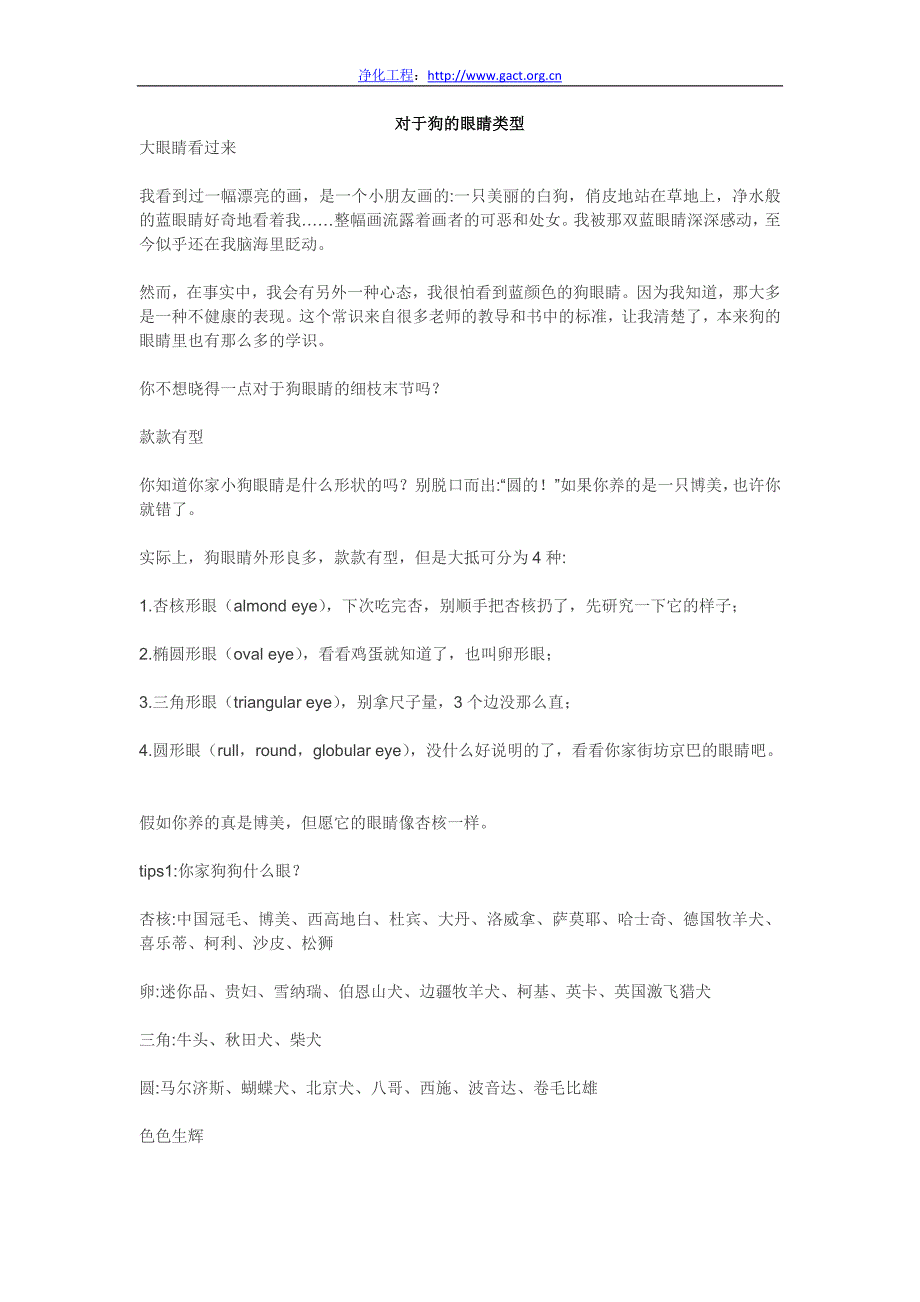 对于狗的眼睛类型.doc_第1页