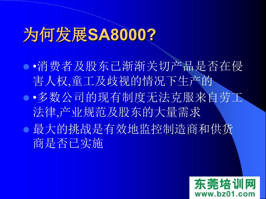 培训SA8000社会责任标准_第3页