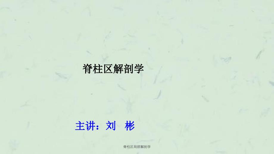 脊柱区局部解剖学课件_第1页