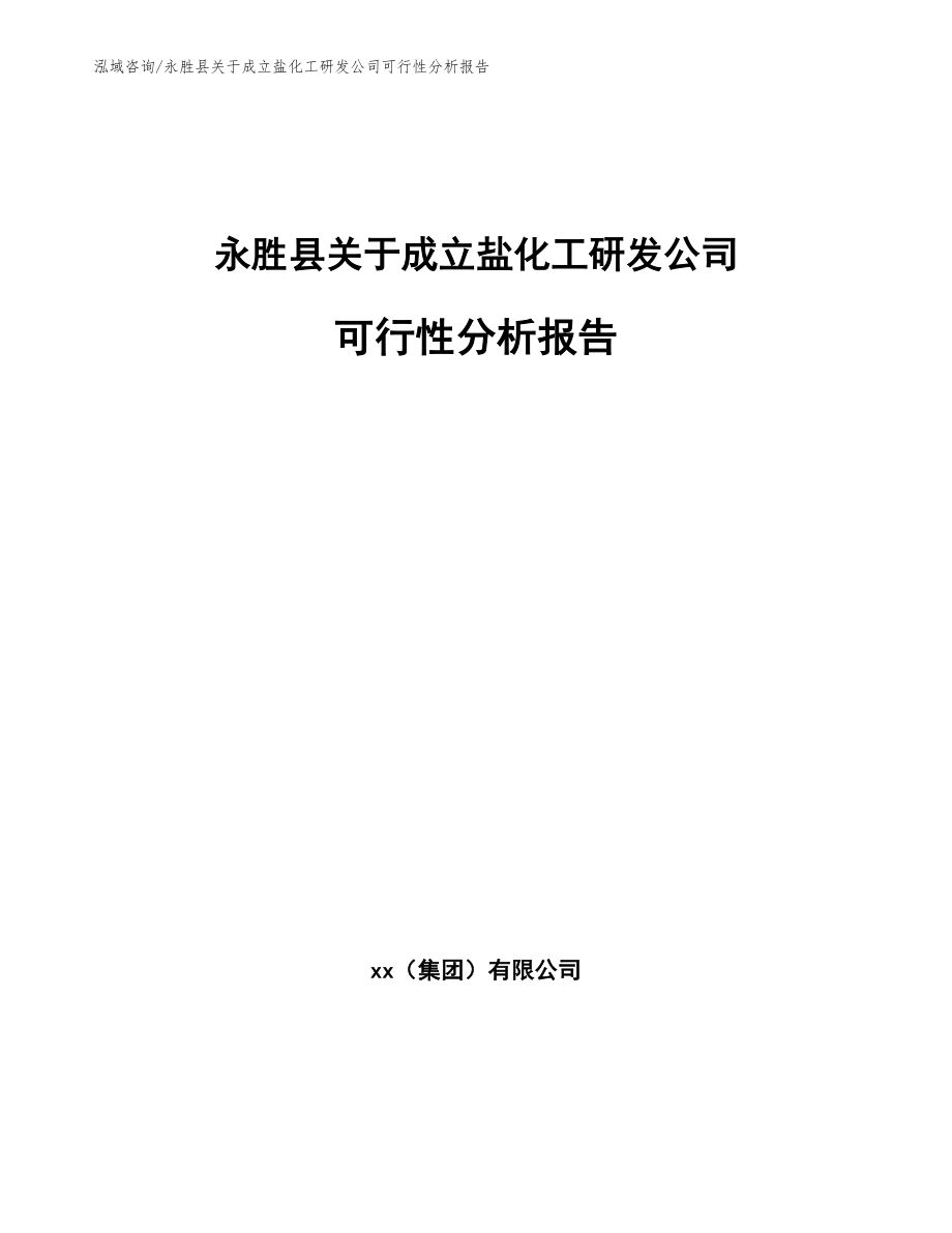 永胜县关于成立盐化工研发公司可行性分析报告_第1页