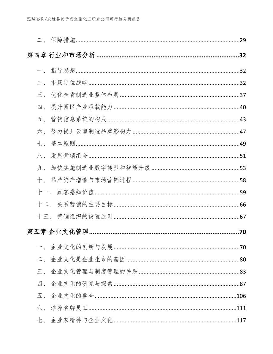 永胜县关于成立盐化工研发公司可行性分析报告_第4页