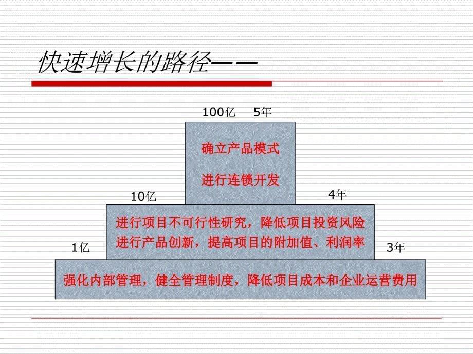 PMS管理模式及项目管理知识体系_第5页