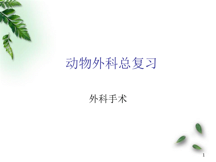 动物外科医学PPT课件_第1页