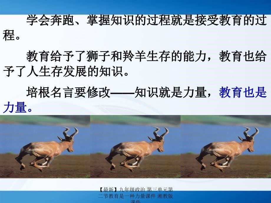 最新九年级政治第三单元第二节教育是一种力量课件湘教版课件_第5页