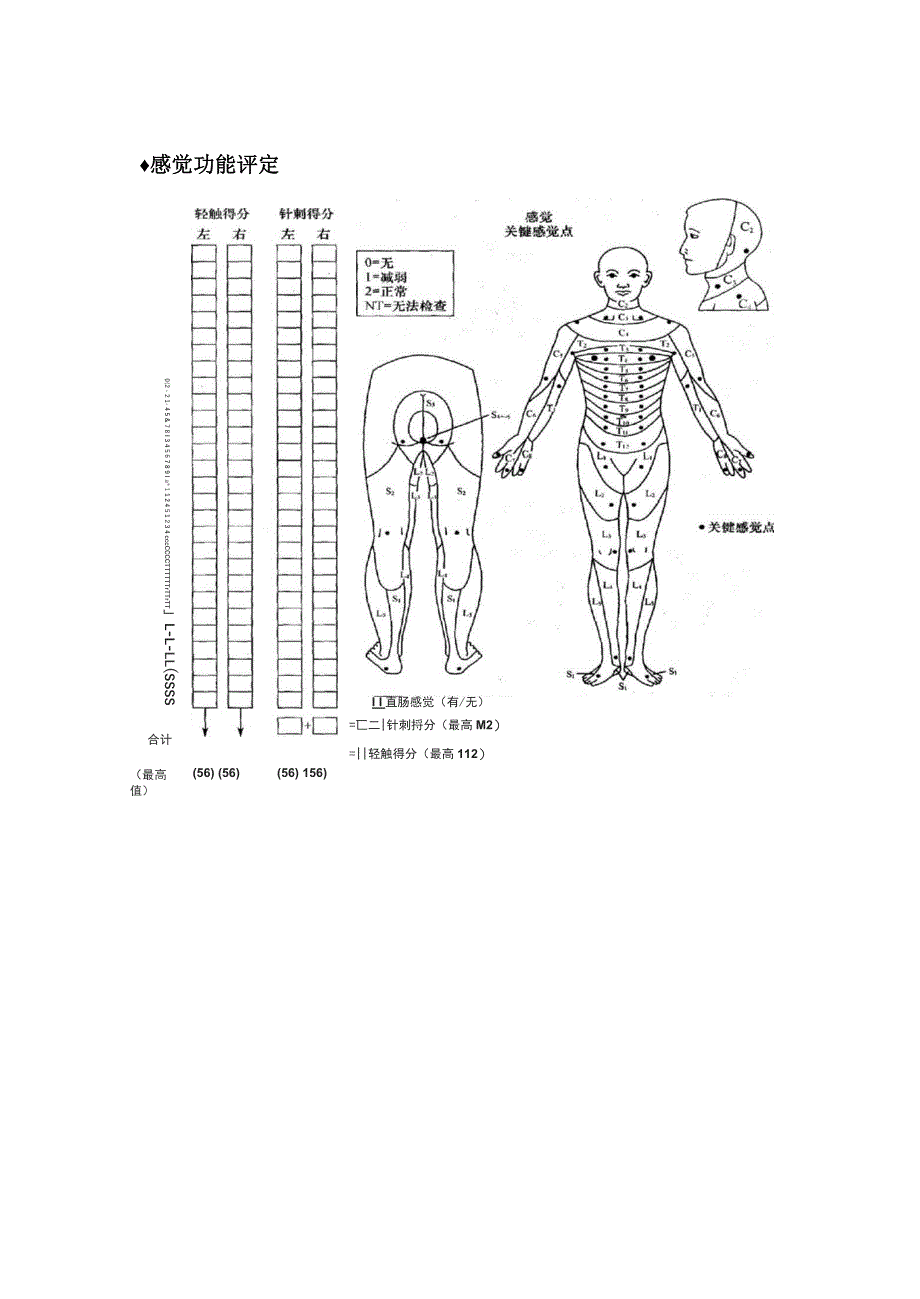 脊髓损伤功能评定_第4页