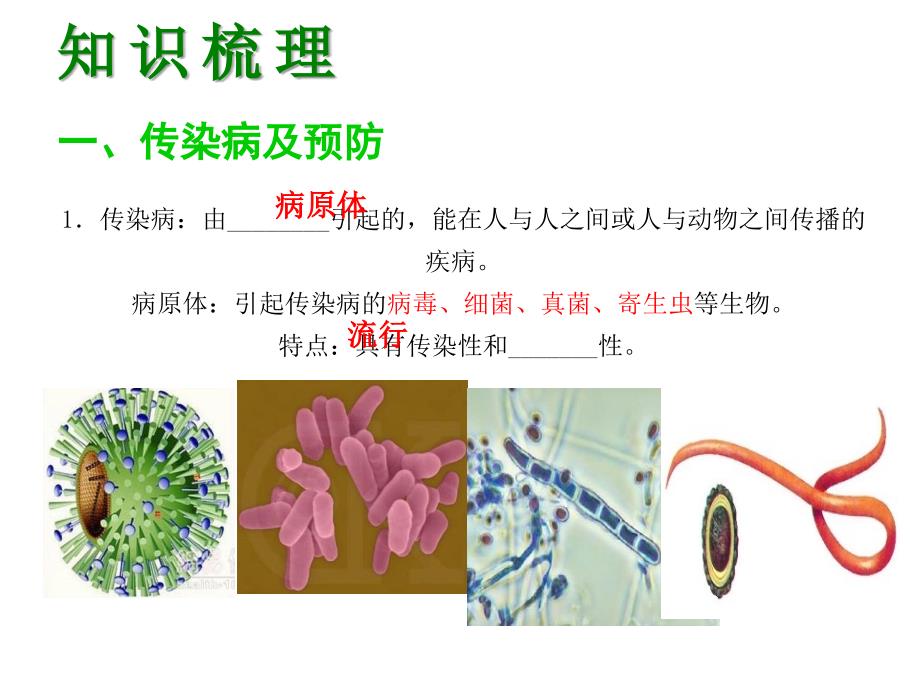 （深圳版）中考生物 第十五单元 健康地生活会考课件_第4页