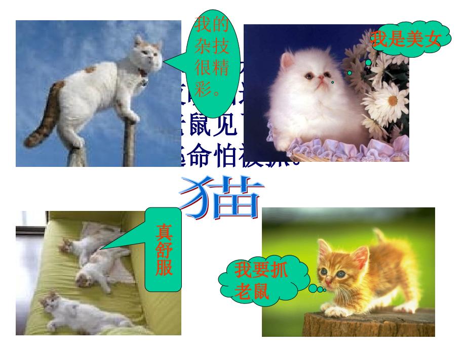 （人教版）四年级语文下册课件 猫_第3页