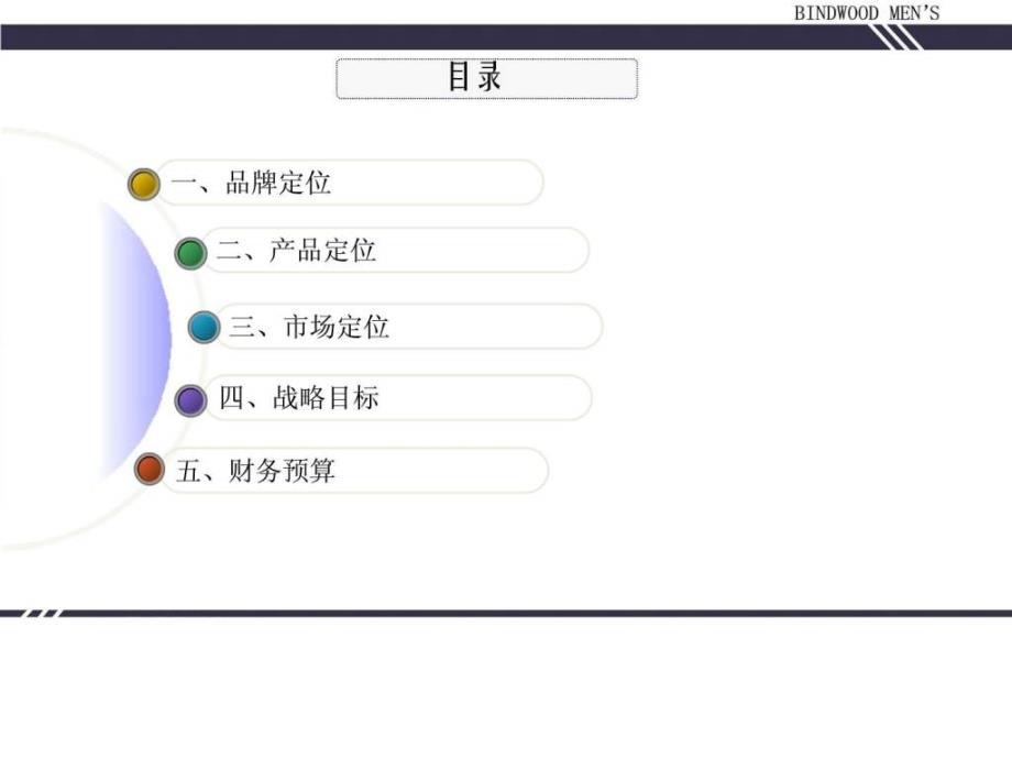 BINDWOOD品牌启动计划.ppt_第2页