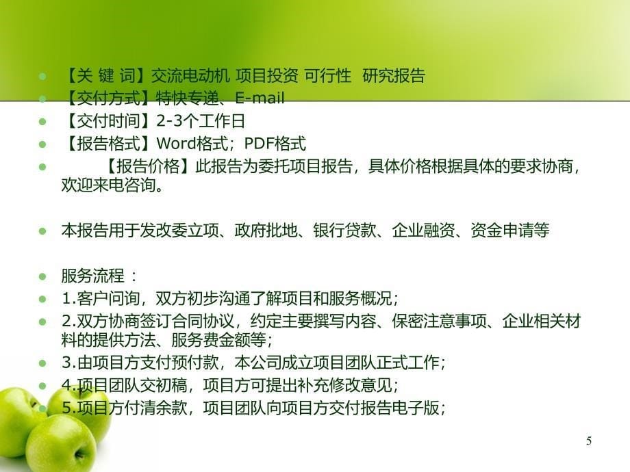 交流电动机项目可行性报告提纲_第5页