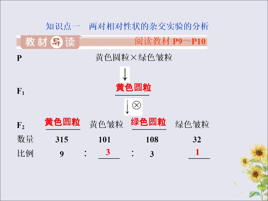 2019-2020学年高中生物 第1章 遗传因子的发现 第2节 孟德尔的豌豆杂交实验（二）（Ⅰ）课件 新人教版必修2_第3页