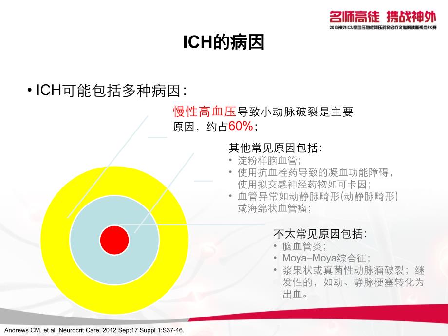 1.脑出血(ICH)的标准化治疗_第4页