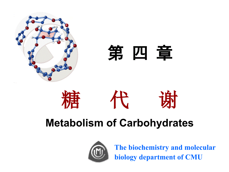 生物化学讲义ppt课件第四章糖代谢精要_第1页