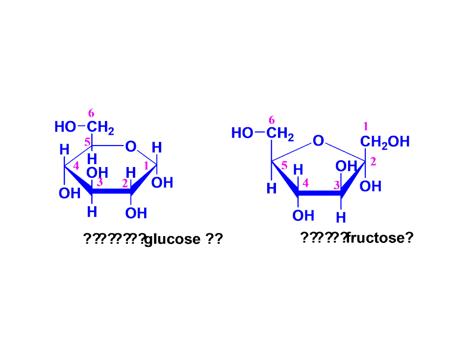 生物化学讲义ppt课件第四章糖代谢精要_第4页