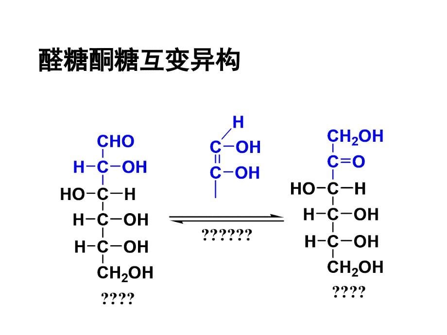 生物化学讲义ppt课件第四章糖代谢精要_第5页