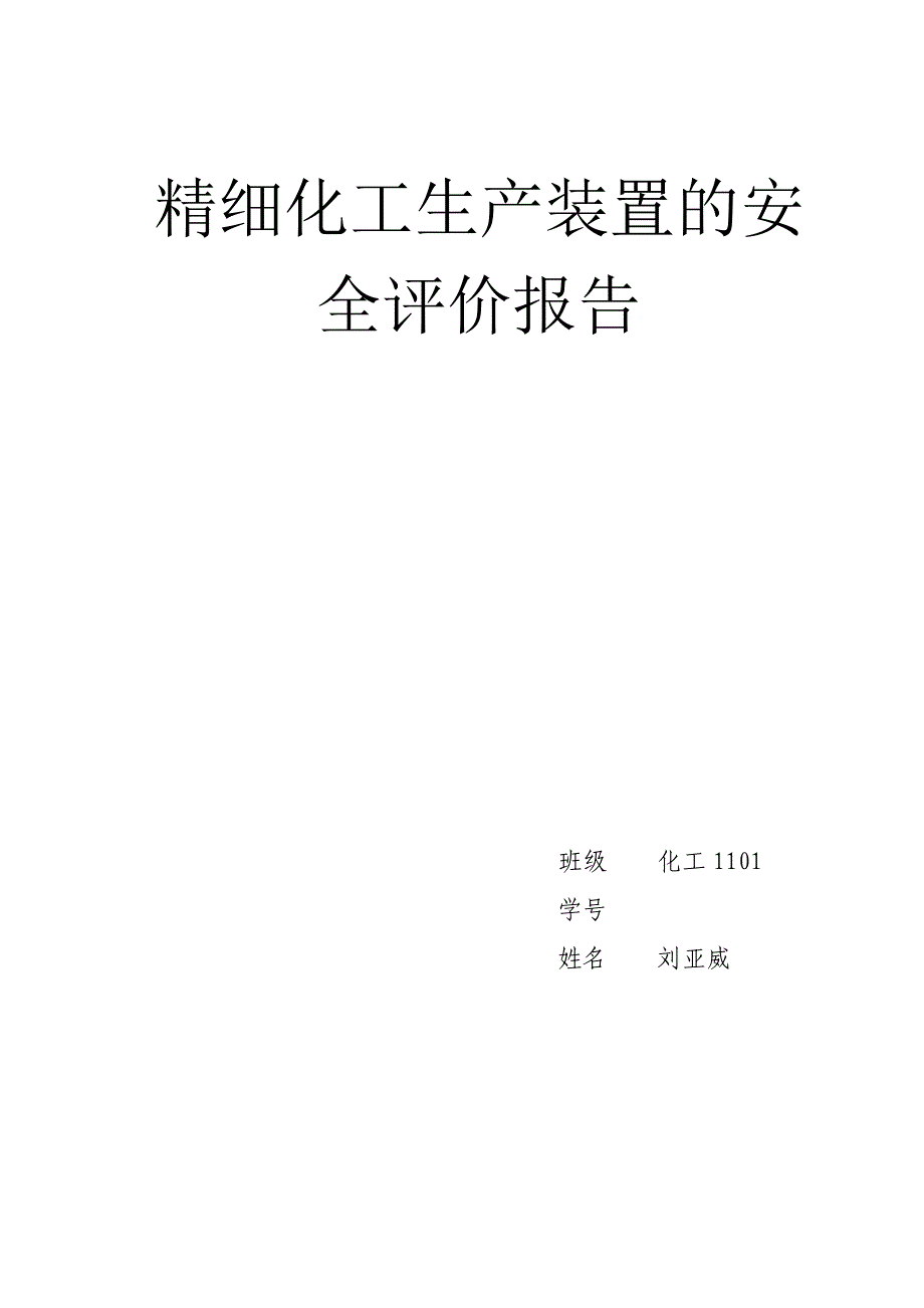 精细化工安全评价报告_第1页