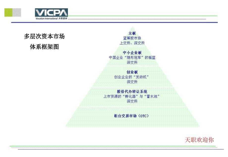 创业板发行上市重点财务会计及审计问题_第5页