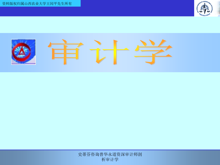 史蒂芬咨询普华永道资深审计师剖析审计学课件_第1页