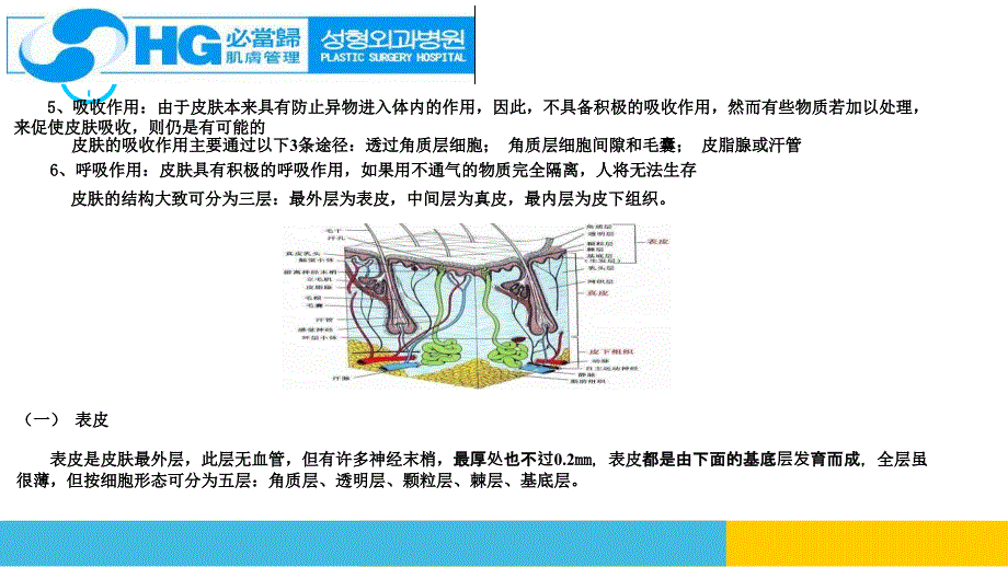 hg皮肤基础知识培训 ppt课件_第4页