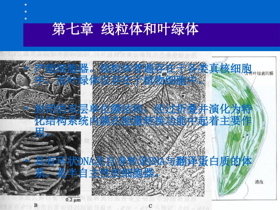 南农细胞生物学_第1页