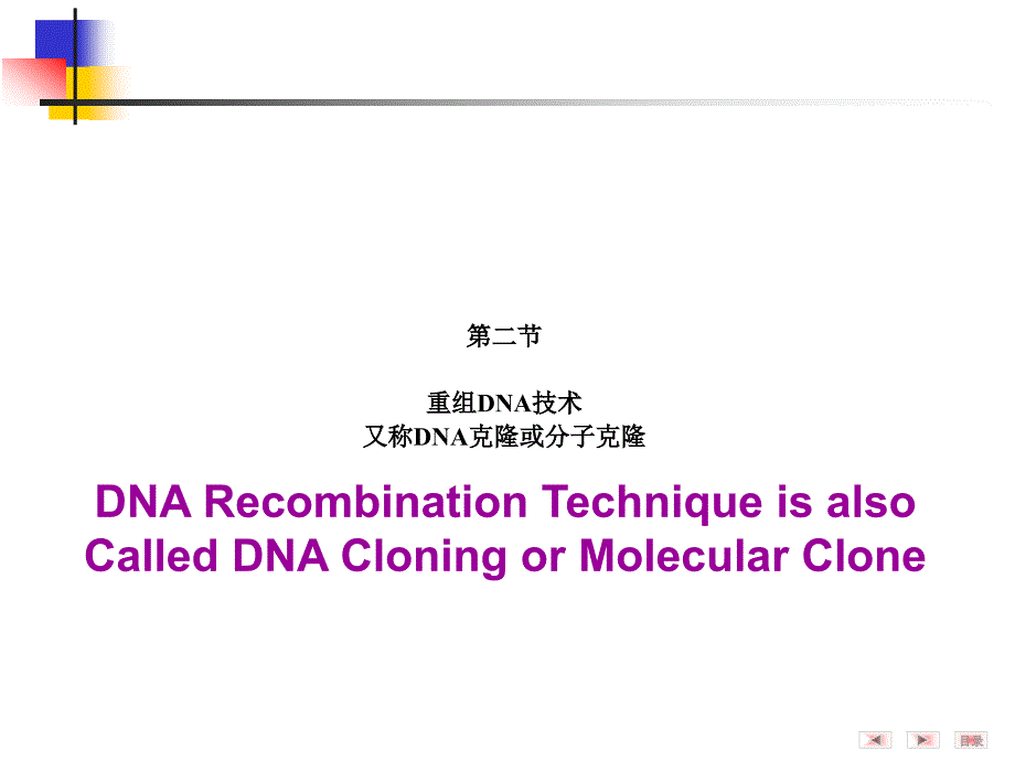 第14章基因重组和基因工程药事情_第3页