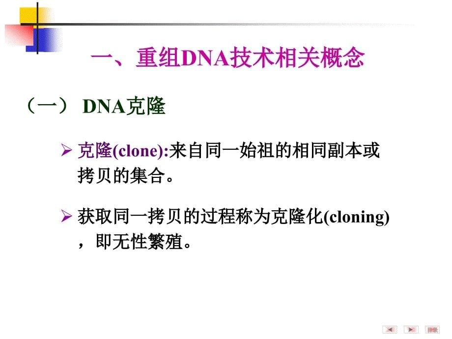 第14章基因重组和基因工程药事情_第5页