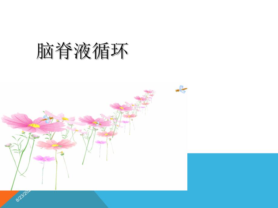 脑脊液的循环.ppt_第1页