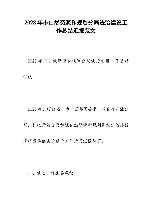 2023年市自然资源和规划分局法治建设工作总结汇报.docx