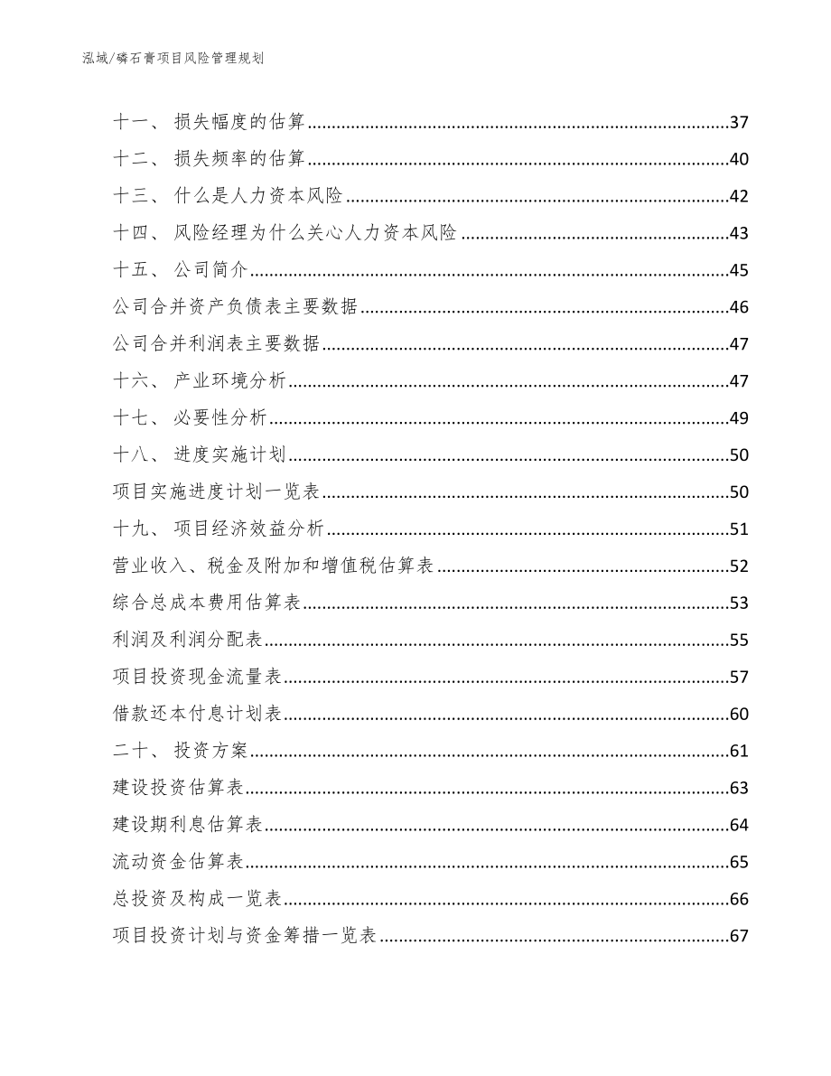 磷石膏项目风险管理规划【范文】_第2页