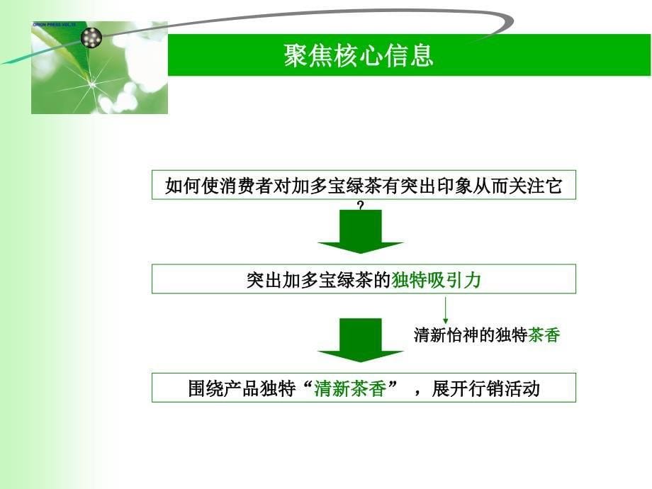 加多宝绿茶春夏推广计划(PPT42页)_第5页