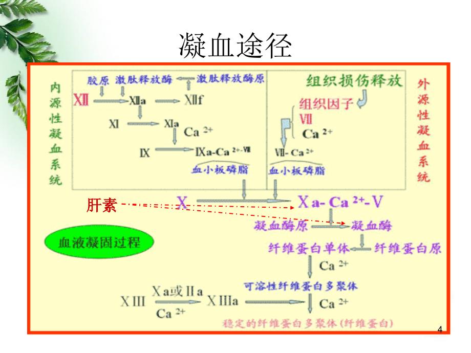 CRRT枸橼酸抗凝ppt课件_第4页