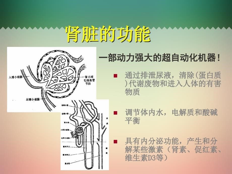 慢性肾脏疾病的护理ppt课件_第5页