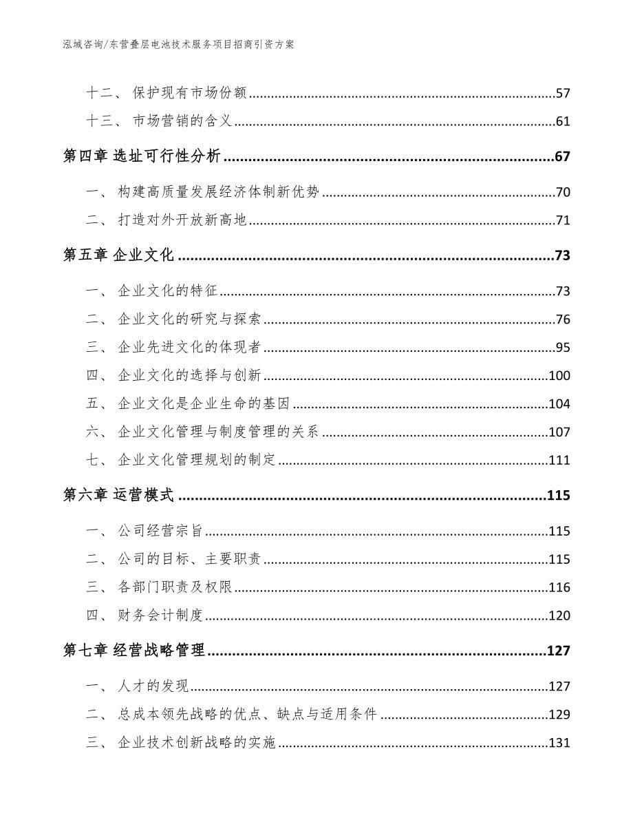 东营叠层电池技术服务项目招商引资方案_第5页