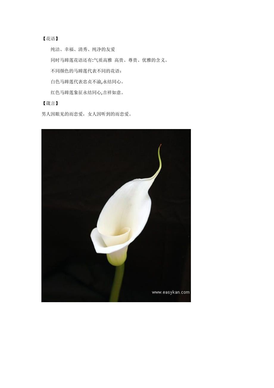 星座、生日与花(马蹄莲).doc_第4页