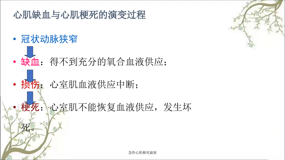 急性心肌梗死最新课件_第2页