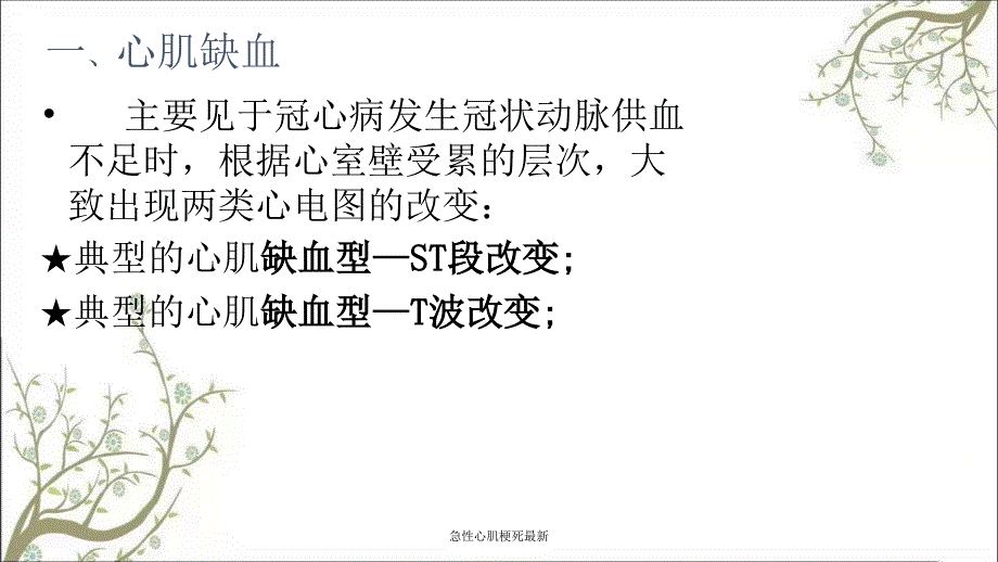 急性心肌梗死最新课件_第3页