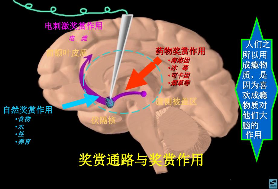 班会无烟校园主题班会PPT课件_第4页