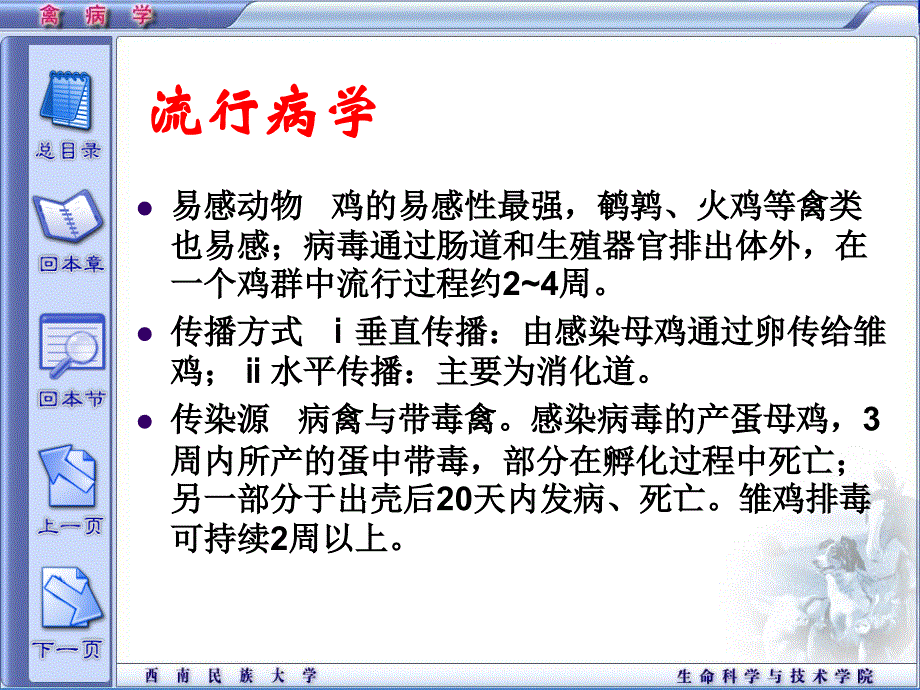 精品课程禽病学ppt传染性脑脊髓炎_第3页