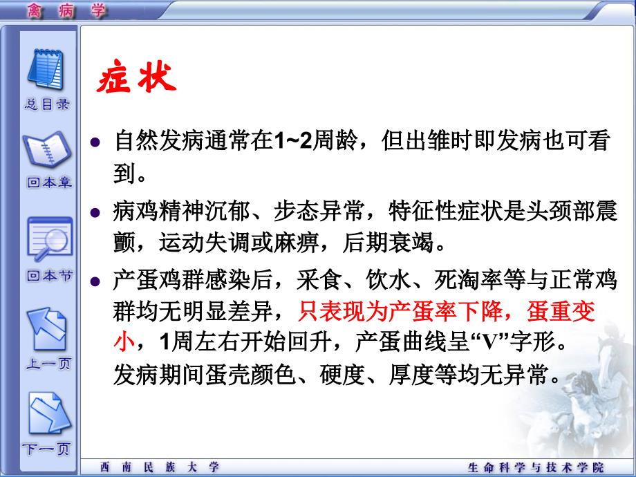 精品课程禽病学ppt传染性脑脊髓炎_第4页